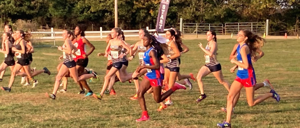 <strong>The start of the Region 8-AAA girls cross country championship race that was held at Shelby Farms.</strong> (Courtesy Len Hardison)