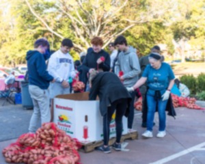 <strong>The sweet potatoes will arrive in palletized loads. Volunteers will bag the produce in 10-pound bags and label for pick up by local charities.</strong> (Courtesy Cindy McMillion)