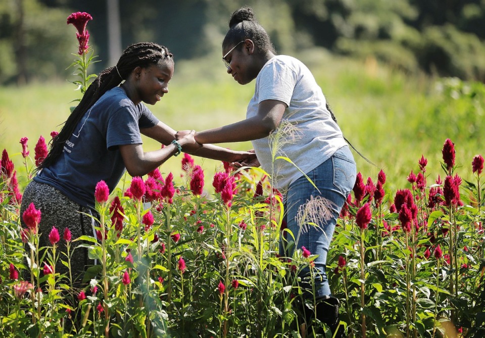 <strong>Carnereya Smith (left) helps Kendall Cooper navigate the flower garden in her walking cast at the Girls Inc. Youth Farm in Frayser on Aug. 16, 2019, where high school-aged girls work after school and during the summers as farmers cultivating vegetables for sale at local farmers markets to develop entrepreneurial skills.</strong> (Jim Weber/Daily Memphian)
