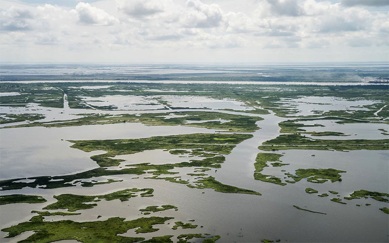 <strong>Plaquemines Parish surrounds the last 70 miles of the Mississippi River, making it susceptible to salt water intrusion from the Gulf of Mexico, something that's becoming more common as climate change plagues the region with more frequent drought.</strong> (Courtesy Kezia Setyawan, WWNO)