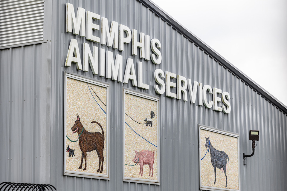 <strong>Memphis Animal Services is located at 2350 Appling City Cove.</strong> (Benjamin Naylor/The Daily Memphian file)&nbsp;