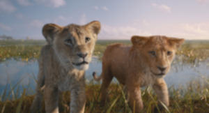 <strong>&ldquo;Mufasa: The Lion King&rdquo; is a prequel to the original story.</strong> (Courtesy Walt Disney Studios)