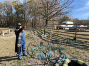 <div><div dir="ltr"><div dir="ltr" data-olk-copy-source="MessageBody"><strong>Camille James, founder of Halls of Ivy Academy, shows a peach tree planted in the Frayser Community Urban Garden. The peach tree was the first variety planted there.</strong> (Julia Baker/The Daily Memphian)</div></div></div>