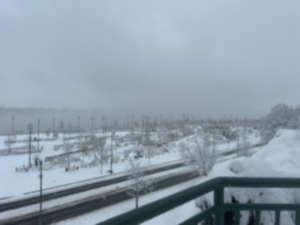 <strong>Snow covers Tom Lee Park on Jan. 10.</strong> (Sophia Surrett/The Daily Memphian)