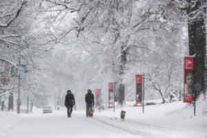 <strong>Jolieke and John Brooke walk their dogs Bernie and Spock as snow falls in Overton Park on Jan. 10.</strong> (Mark Weber/The Daily Memphian file)