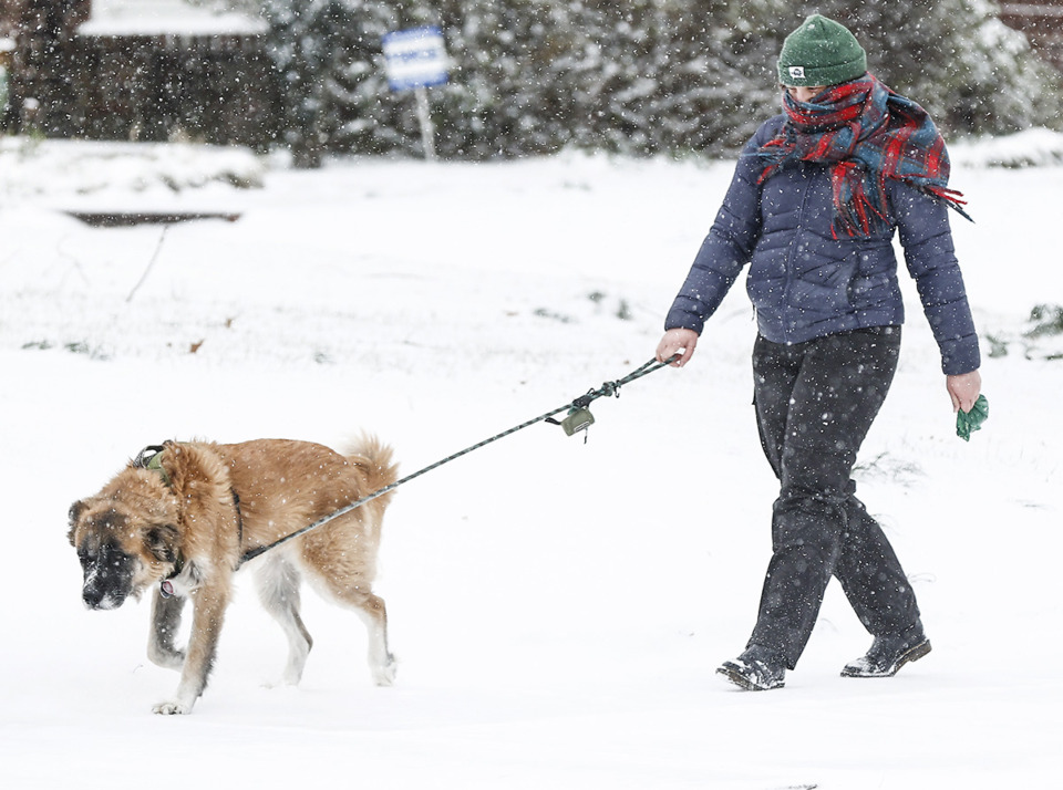 <strong>An individual braves the frigid temperature and snowy conditions to walk their dog on Wednesday, Feb. 19, 2025.</strong> (Mark Weber/The Daily Memphian)