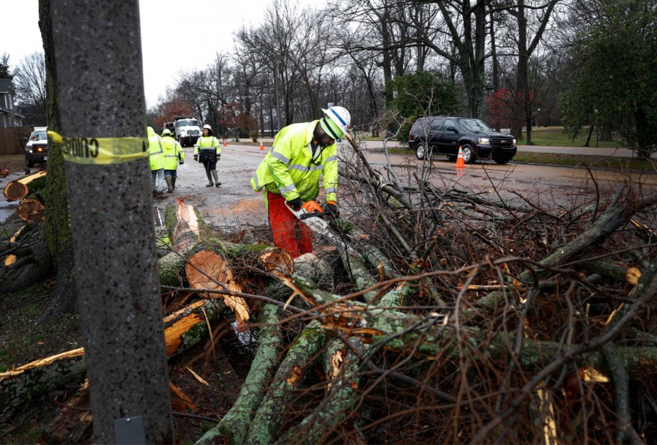 <strong>Tennessee Department of Transportation workers remove a fallen tree on East Parkway North on Saturday, Jan. 11, 2020. Thousands were left with out power after high winds and heavy rains hit the area in the early morning hours.</strong> (Mark Weber/Daily Memphian)