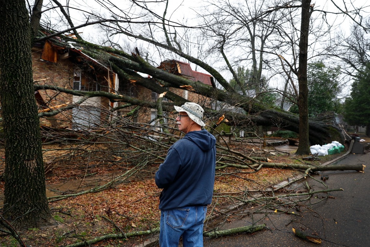 <strong>Fred Speidel surveys a fallen tree that hit an apartment building on East Parkway North near Overton Park on Saturday, Jan. 11, 2020, after severe storms rolled through the Memphis area in the early morning hours.</strong> (Mark Weber/Daily Memphian)