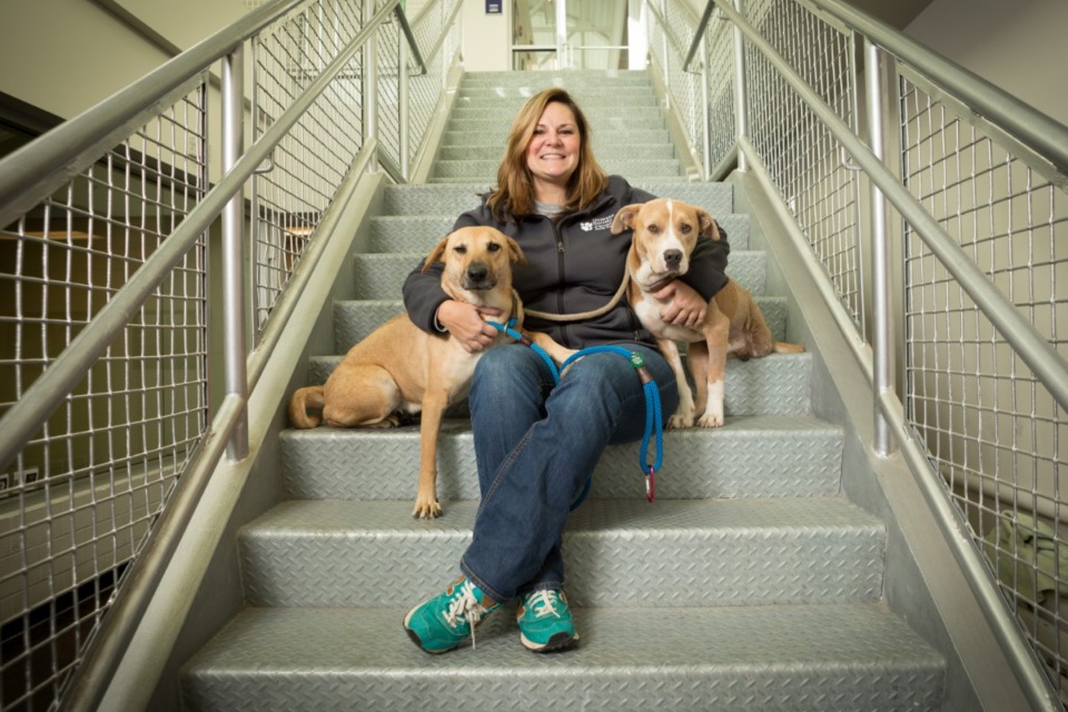 <strong>Alexis Pugh, director of Memphia Animal Services, will join TV anchor Kontji Anthony and master distiller Alex Castle&nbsp;<span>on a panel at The Daily Memphian&rsquo;s Women and Business Seminar Thursday, Feb. 20, at Memphis Brooks Museum of Art.</span></strong>&nbsp;(File photo)