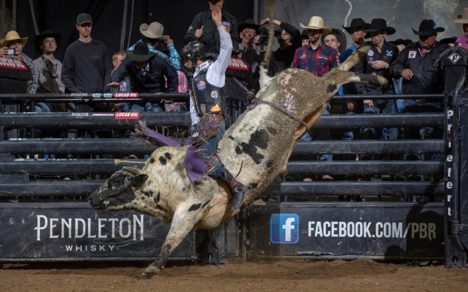<strong>Tye Chandler attempts to ride Circuit Breaker of Julio Moreno / Dallas Schott during the Round 1 of the PBR Pendleton Whisky Velocity Tour event in Fresno, Calif</strong>. (Andre Silva)