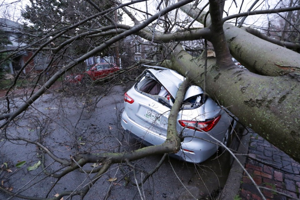 <strong>A car crushed by a tree sits on a street after a tornado touched down Tuesday, March 3, 2020, in Nashville, Tennessee.</strong> (AP Photo/Mark Humphrey)