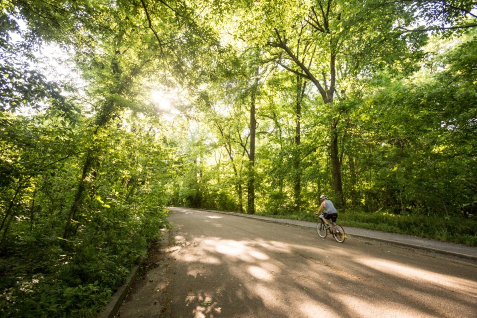 <strong>A cyclist pedals through the Old Forest in Overton Park.&nbsp;Honorees for the 2020 Women of Achievement include the neighborhood activists who stopped a freeway from cutting through the park.</strong> (Daily Memphian file)