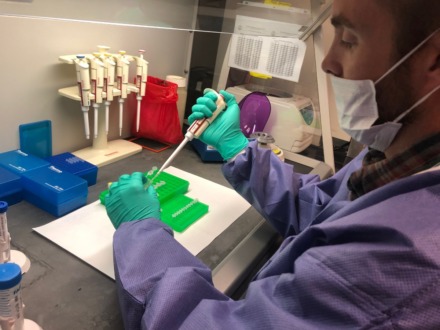 <strong>MPD has said one reason rape kits were not processed was that until 2002 the state crime lab run by the Tennessee Bureau of Investigation lacked access&nbsp; to the FBI&rsquo;s Combined DNA Index System, or CODIS. Today the lab compares samples to the a massive national database of DNA profiles that is used to match suspects to crimes.</strong>&nbsp;(Courtesy TBI Crime Lab)