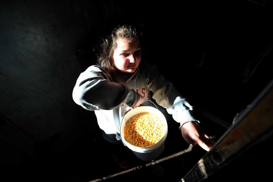 <strong>Claire Rogers, 12, carries a bucket of cooked corn to the kitchen at Westy's for the restaurant's free Thanksgiving meal. Westy's has been providing a free Thanksgiving meal for 15 years, and with the help of Operation BBQ Relief and Lindenwood Christian Church they're able to serve hundreds of meals to those in need.</strong> (Houston Cofield/Daily Memphian)