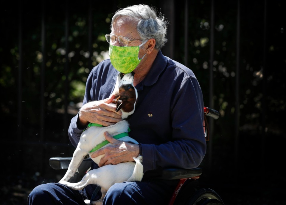 <strong>Trezevant Manor resident Jerry Williamson greets his dog, Chip, for the first time in months during a parade by family members on April 30, 2020. Residents from the Midtown retirement community have not seen family members since the facility went on lockdown due the COVID-19 outbreak.</strong> (Mark Weber/Daily Memphian)