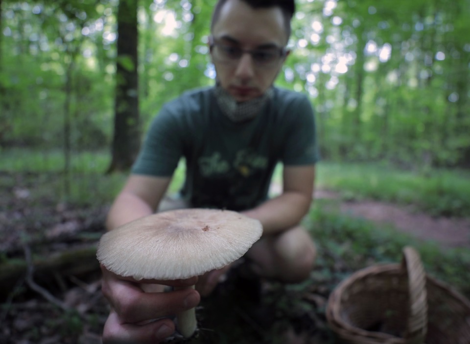 <strong>Benjamin Winborn shows off a deer mushroom he found while foraging for edible mushrooms in Nesbit Park in Bartlett.</strong> (Patrick Lantrip/Daily Memphian)