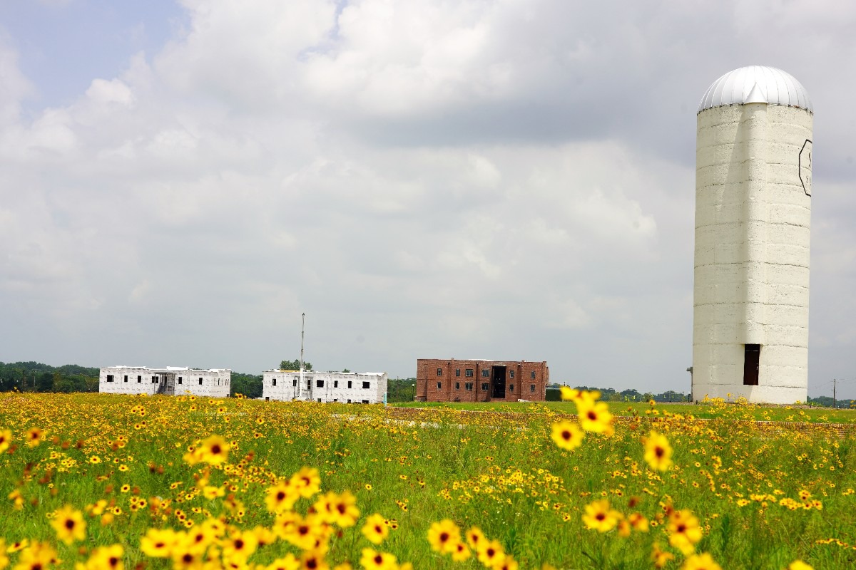 <strong>Silo Square's signature feature towers over wildflowers as construction continues on the first mixed-use buildings in the background.</strong> (Tom Bailey/Daily Memphian)