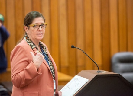 <strong>Shelby County Health Department Director Alisa Haushalter (at a press conference) said for a while coronavirus test results were available in about 48 hours. But now labs are backed up and it takes a week or longer to process tests.</strong>&nbsp;(Greg Campbell/Daily Memphian file)