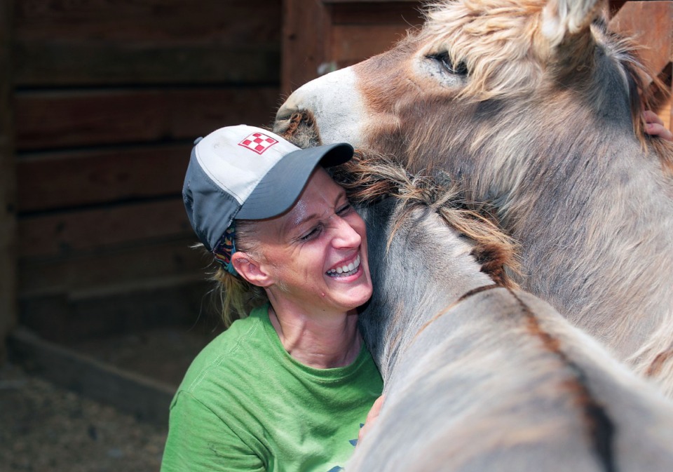 <strong>Penny and Trigger the donkeys can't get enough head scratches from Abby Mauwong at ARK Farms July 15, 2020.</strong> (Patrick Lantrip/Daily Memphian)