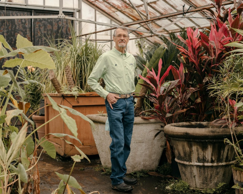 <strong>Tom Rieman, a Master Gardener, stands in one of the city&rsquo;s greenhouses in Overton Park. Rieman and a group of other Master Gardeners use the greenhouse to cultivate plants.</strong> (Houston Cofield/Special to The Daily Memphian)