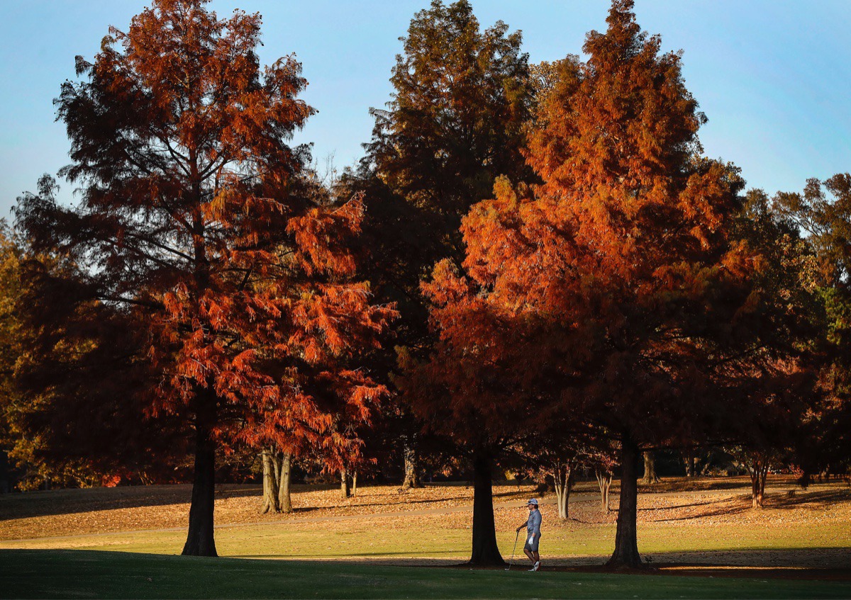 Images Of Autumn In The Memphis Area - Memphis Local, Sports, Business ...