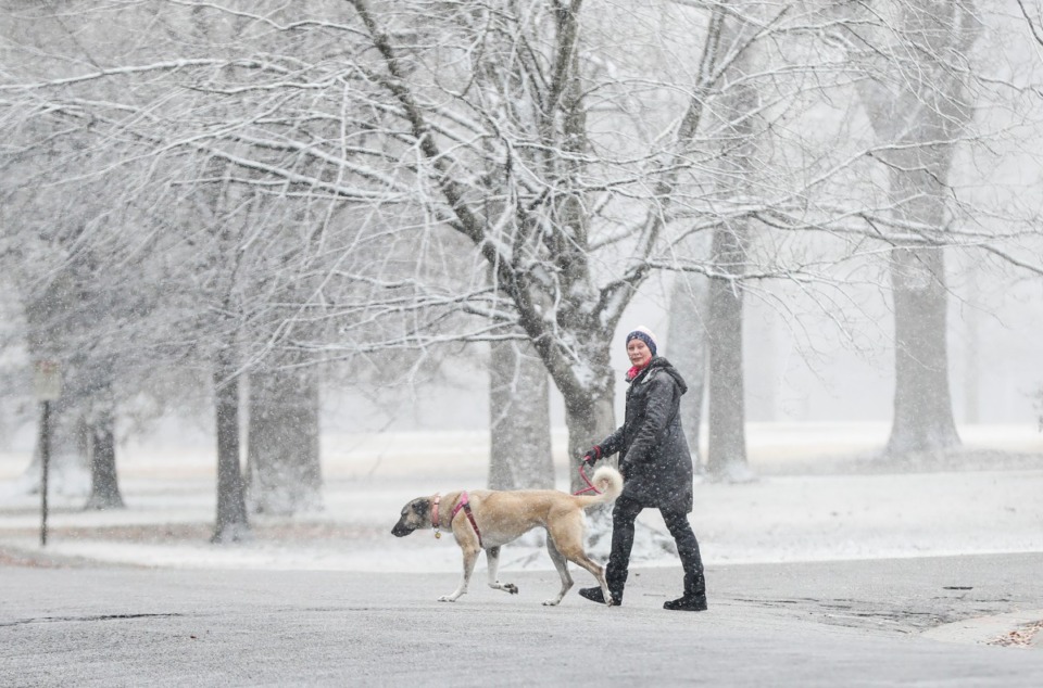 <strong>As snow falls Kaisa Lumme walks her dog Daisy on Monday, Jan. 11, 2021 in Overton Park.</strong> (Mark Weber/The Daily Memphian)