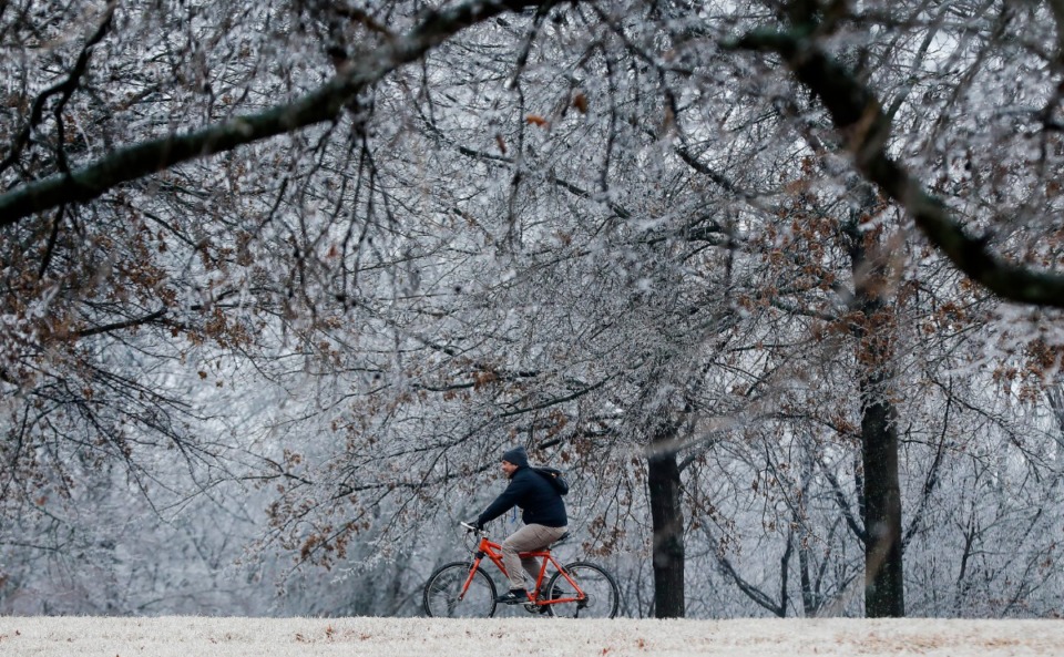 <strong>A biker rides through ice-covered trees in Shelby Farms on Thursday, Feb. 11.</strong> (Mark Weber/Daily Memphian)