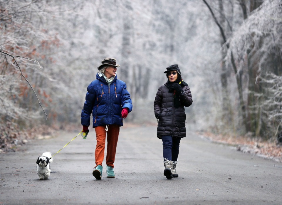 <strong>Beverly Doggrell (left) and Carol Buchman walk Barkley in the Old Forest of Overton Park Feb. 11, 2021</strong>. (Patrick Lantrip/Daily Memphian)