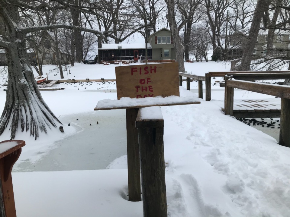 <strong>When David McCandless awoke at his house on Horseshoe Lake on Monday morning, he had caught at least one fish 335 days in a row. But Monday, he was faced with a frozen lake. &ldquo;Looks like the streak is over,&rdquo; McCandless wrote in his daily text to friends. &ldquo;It was a fun run.&rdquo;</strong> (Submitted)&nbsp;