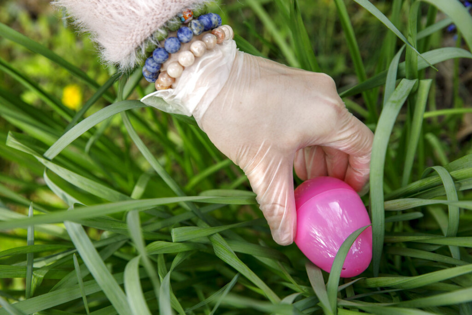 <strong>Do you hide real eggs for the kids at Easter? Jennifer Biggs opts for plastic eggs with candy inside.&nbsp;</strong>(AP File/Jacquelyn Martin)