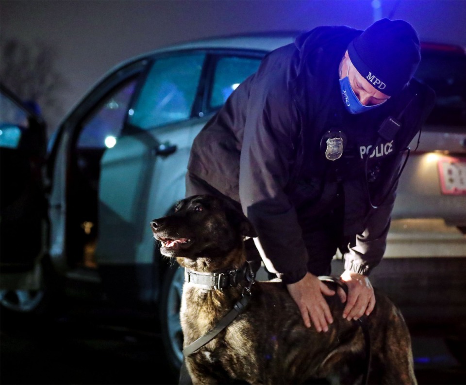 <strong>Jackal, a Memphis Police Department search dog, gets rewarded by his handler after searching a vehicle on Feb. 9.</strong> (Patrick Lantrip/Daily Memphian)