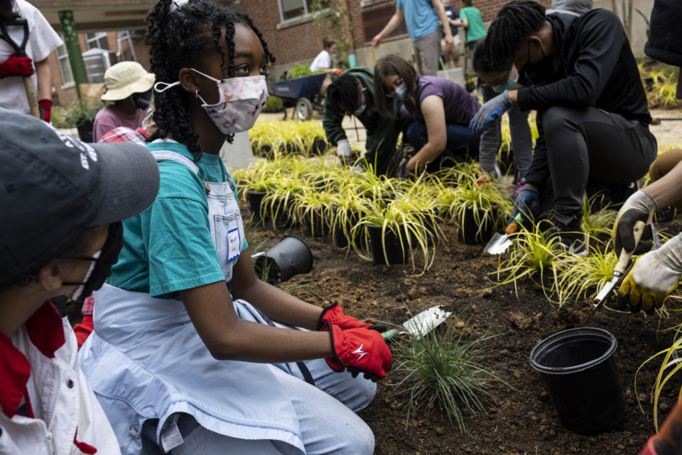 <strong>White Station ninth-grader Gabrielle Clark helps plant in the school&rsquo;s courtyard on Saturday at White Station High School. Volunteers spent the day working on landscaping in the school&rsquo;s courtyard as part of a half-million dollar project led by attorney Richard Myers.</strong> (Brad Vest/Special to Daily Memphian)