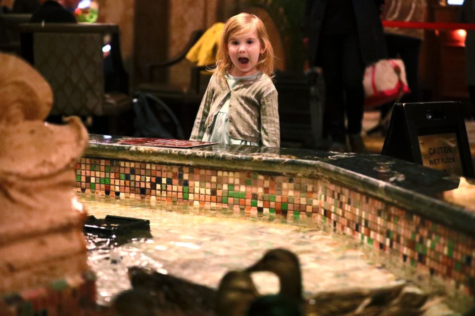 <strong>A young visitor to The Peabody in 2019 gasps with excitement as The Peabody ducks swim in the grand lobby fountain. AAA&nbsp;projects that more than 37&nbsp;million people will travel 50 miles or more between Thursday, May 27, and Monday, May 31, a 60% increase from last year.</strong>&nbsp;(Houston Cofield/Daily Memphian file)