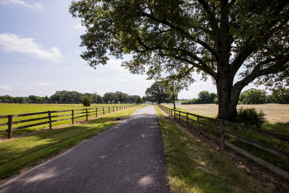 <strong>Wildwood Farm is a 350-acre farm owned by Olympic Gold Medalist Melanie Smith Taylor. The land will be transferred to UT Martin upon her death. </strong>(Steven Mantilla/UTM university relations)