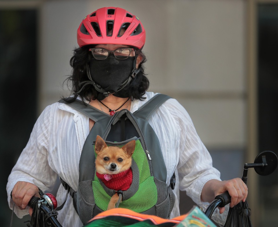 <strong>Teresa Andreuccetti goes for near full face protection while biking on Main Street with her dog Meme in Downtown Memphis on May 1, 2020.</strong> (Jim Weber/Daily Memphian)