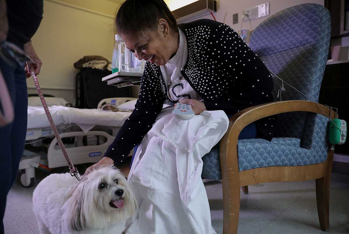 <strong>Junnie Reed enjoys a visit from Teva, a therapy dog that visited patients at St. Francis Hospital on Wednesday, Sept. 26. Teva and fellow pup Lily visited the hospital as a part of its volunteer program.</strong> (Patrick Lantrip/Daily Memphian)