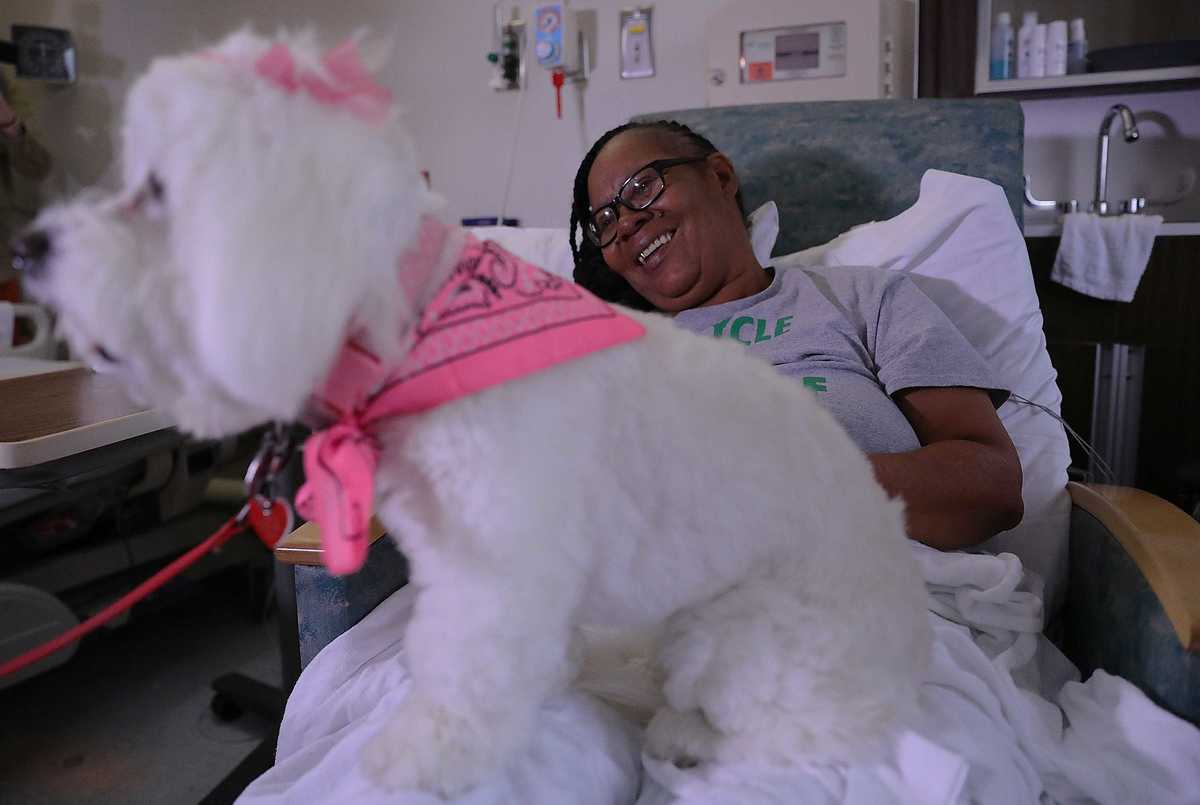 <strong>Lily visited St. Francis patient&nbsp;Robbie Gail Woods on Wednesday, Sept. 26. "I&rsquo;m hoping she comes back to visit me,&rdquo; Woods said.</strong>&nbsp;<b></b>(Patrick Lantrip/Daily Memphian)