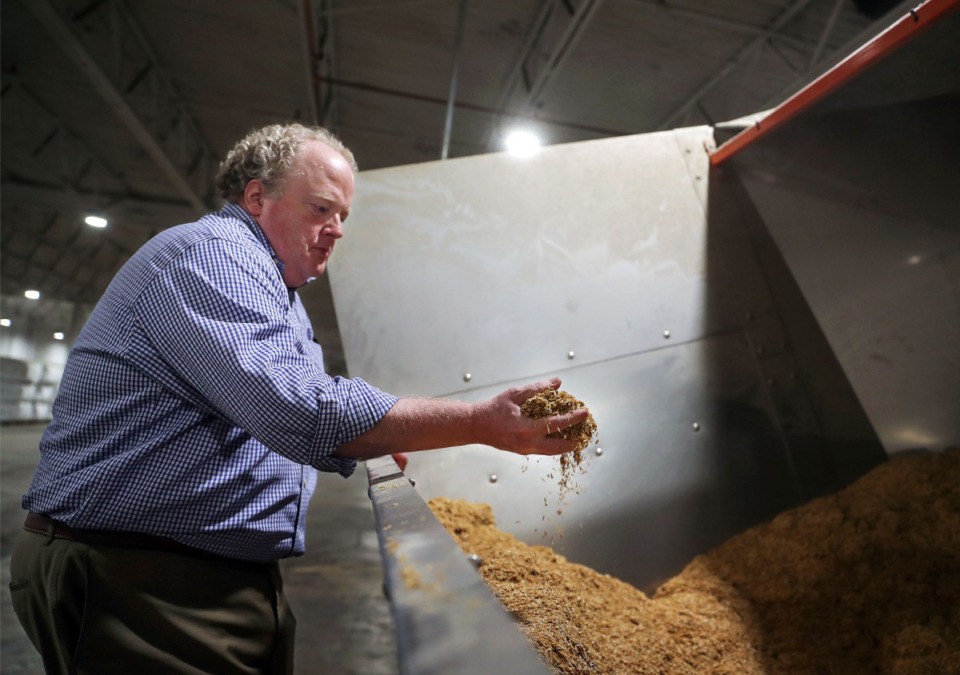 <strong>Glanris CEO Bryan Eagle grabs a handful of soon-to-be processed rice hulls while touring his North Mississippi plant Aug. 18, 2021.</strong> (Patrick Lantrip/Daily Memphian)