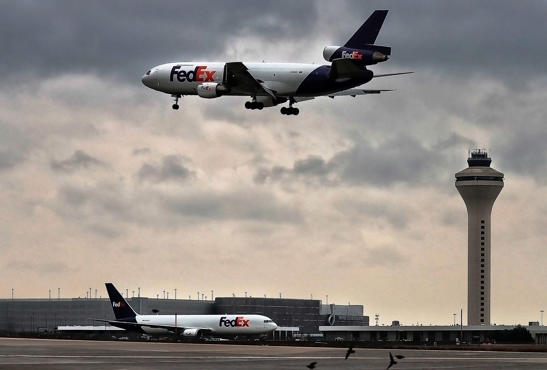 <strong>FedEx planes land throughout the day as Memphians get a close look at Memphis International Airport during the&nbsp;first Jon K. Thompson World Class Tour of 2019. The bus tour gave&nbsp;community members an insider's view of the airport and FedEx world hub.</strong> (Jim Weber/Daily Memphian)