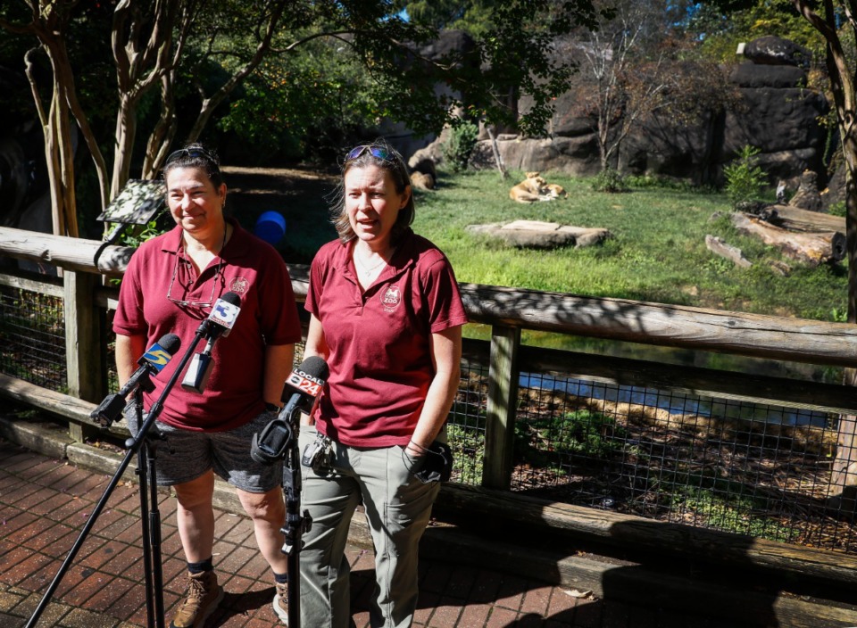 <strong>Memphis Zoo&rsquo;s senior veterinarian, Dr. Felicia Knightly, (left) and director of animal programs, Courtney Janney speak during a press conference about COVID-19 measures at the zoo on Wednesday, Sept. 22, 2021. (</strong>Mark Weber/The Daily Memphian)