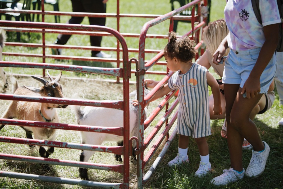 <strong>Visitors greet goats in the petting zoo at the Pink Palace Crafts Fair, Saturday, Sep 25.</strong> (Lucy Garrett/Special to The Daily Memphian)