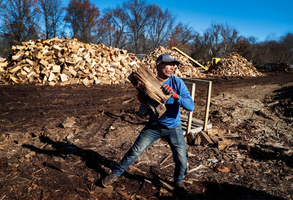 <strong>A Woodland Tree Service employee goes about his business in 2020. So far this year, 15 tree-trimming crews have been robbed on the job.</strong> (Mark Weber/The Daily Memphian file)