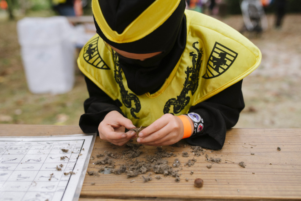 <strong>Lacis Wai searches for small animal bones at one of the activities at the Halloween Hike.</strong>&nbsp; (Lucy Garrett/Special to The Daily Memphian)