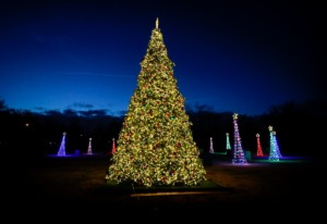 <strong>Christmas decorations in a vacant lot on South Bellevue near Beechwood Avenue on Wednesday, Dec. 15, 2021.</strong> (Mark Weber/The Daily Memphian)