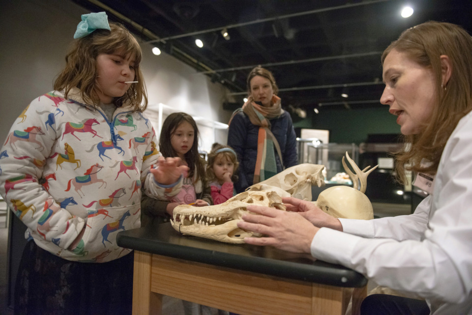 <strong>Volunteer Beth Blake, right, explains the differences in animal skulls to Chandler Ihrie, 7 (from left), Ella Hulett, 7, Beatrice Hulett, 4, and Annie Hulett during community opening day at the Memphis Pink Palace Museum on March 3, 2019. The &ldquo;Making Memphis&rdquo; bicentennial exhibit blends with the museum&rsquo;s permanent exhibits and others still being developed.</strong> (Brandon Dill/Special to The Daily Memphian)