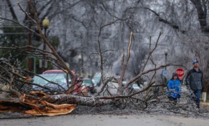 <strong>Pedestrians walk past a fallen limb in Cooper-Young on Feb. 3, 2022.</strong> (Patrick Lantrip/Daily Memphian)