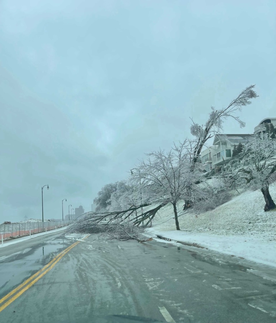 <strong>A downed tree blocks northbound&nbsp; Riverside Drive, Thursday, Feb. 3, 2022.</strong> (Christin Yates/Special to The Daily Memphian)