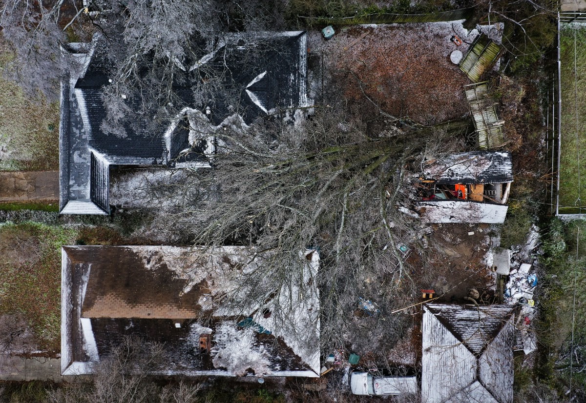 <strong>A drone photo shows a tree that&rsquo;s fallen across two homes.</strong> (Patrick Lantrip/Daily Memphian)