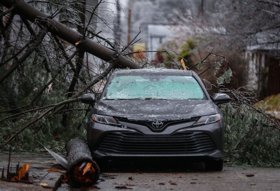 <strong>A tree and powerline fell on a car in the Cooper-Young section of Midtown.</strong> (Patrick Lantrip/Daily Memphian)