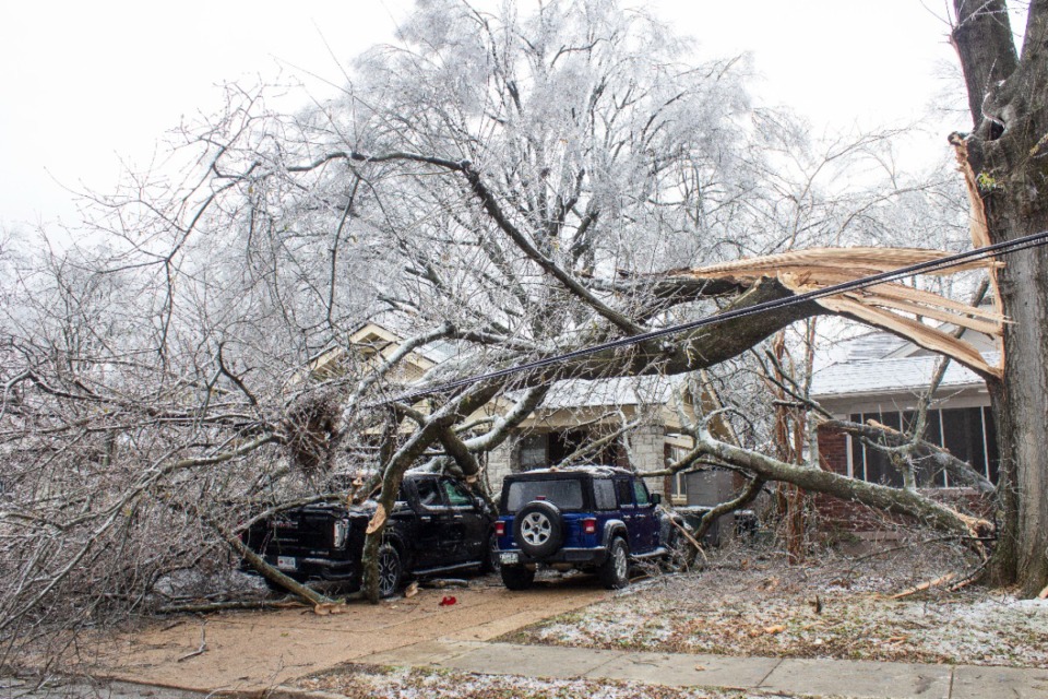 <strong>An ice-laden tree split and landed on vehicles parked on North Belvedere Boulevard. More than 17,000 homes and businesses were still without power Thursday evening as MLGW pushes the goal of full power restoration to Saturday.</strong> (Danielle Smith/The Daily Memphian file)